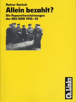 cover image of Allein bezahlt?